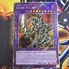 Dark Paladin