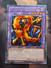 Darkfire Dragon