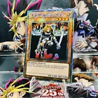 D.D. Warrior Lady