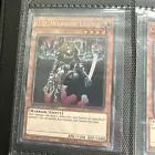 D.D. Warrior Lady