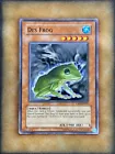 Des Frog
