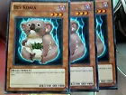 Sea Koala