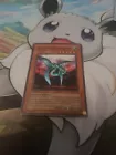 Different Dimension Dragon