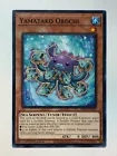 Yamatako Orochi