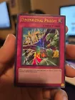 Curse of the Shadow Prison