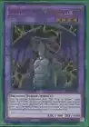 Vampire Dragon