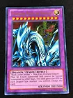 Dragon Master Knight