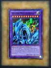 Dragon Master Knight