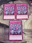 Dragon's Bind