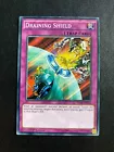 Draining Shield