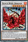 Black Rose Dragon