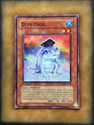 Dupe Frog