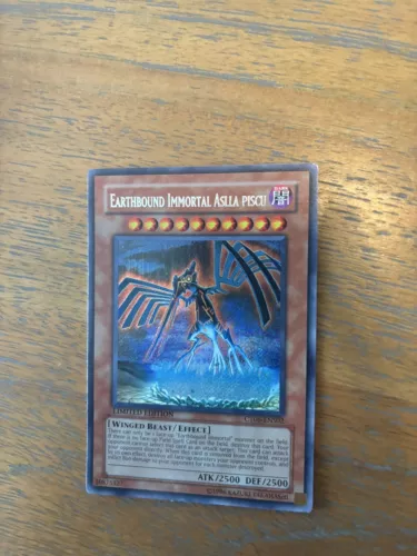 Earthbound Immortal Aslla piscu