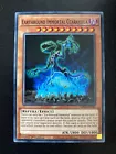 Earthbound Immortal Ccarayhua