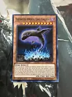 Earthbound Immortal Chacu Challhua