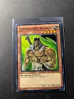 Elemental HERO Wildheart