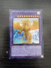 Enlightenment Dragon