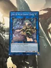 Schuberta the Melodious Maestra