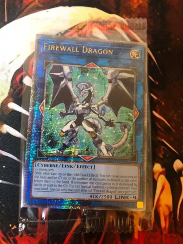 Firewall Dragon
