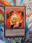 Flame Tiger