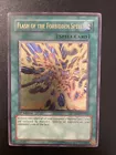 Flash of the Forbidden Spell