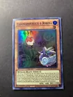 Floowandereeze & Robina