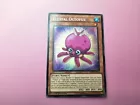 Fluffal Octopus