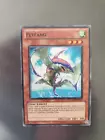 Flyfang