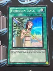 Forbidden Lance
