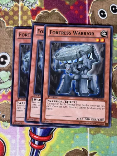 Fortress Warrior