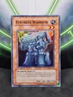Fortress Warrior