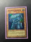 Fortress Warrior