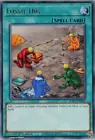 Fossil Dig