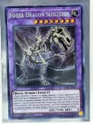 Fossil Dragon Skullgios