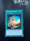Fusion Recovery