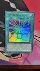 Future Fusion