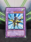Gaia the Dragon Champion