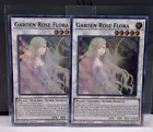Black Garden