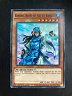 General Raiho of the Ice Barrier