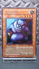Giant Rat