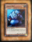 Giant Rat