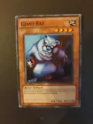 Giant Rat