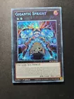 Gigantic Spright