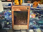 Gladiator Beast Alexander