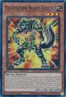 Gladiator Beast Alexander