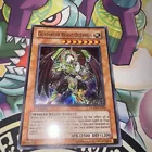 Gladiator Beast Octavius