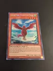 Glife the Phantom Bird