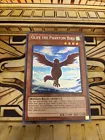 Glife the Phantom Bird