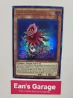 Glow-Up Bloom