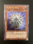 Glow-Up Bulb